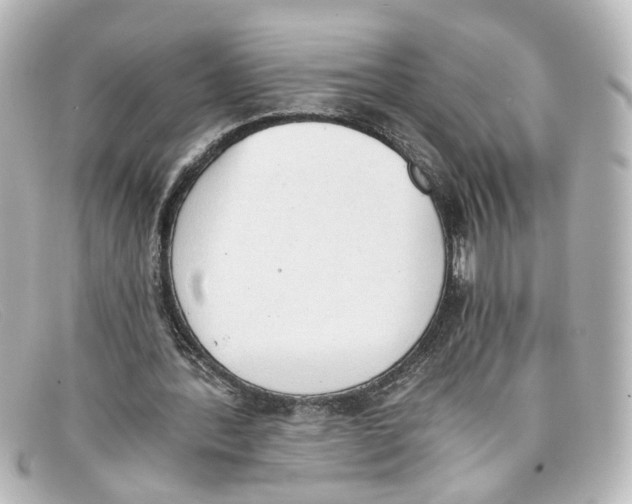 X0000098140388200805081025