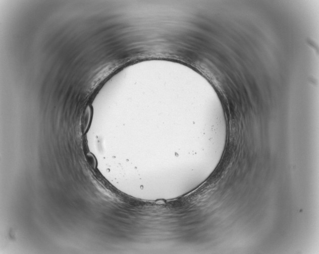 X0000098140389200805081025