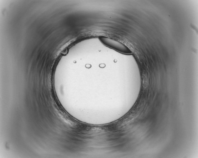 X0000098140390200805081025