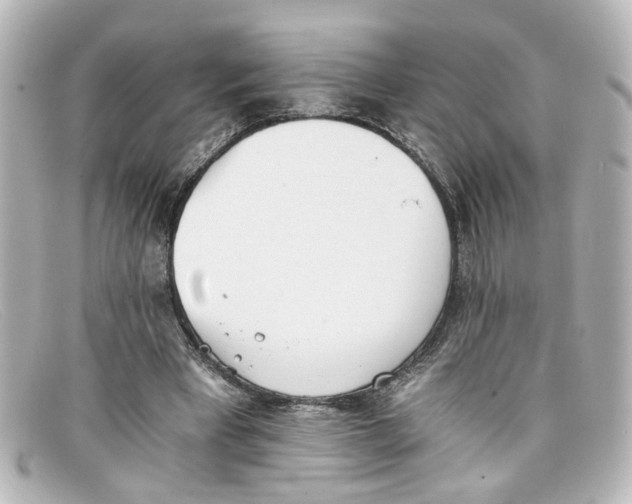 X0000098140393200805081025