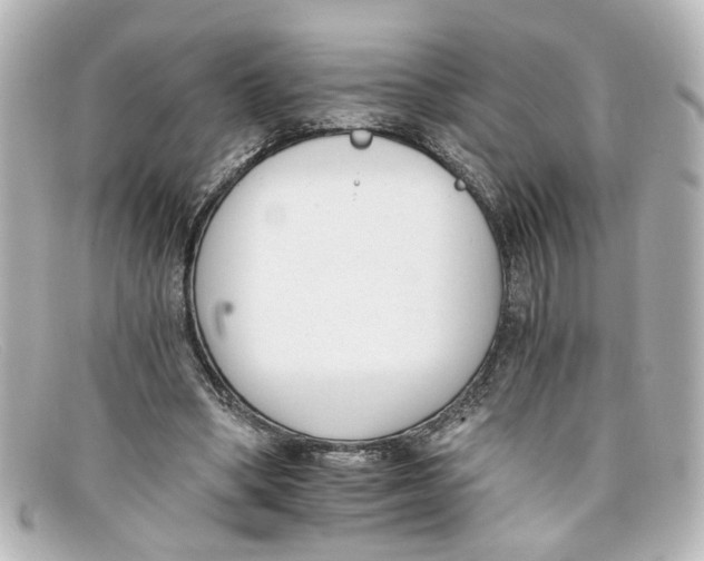 X0000098140394200805081025