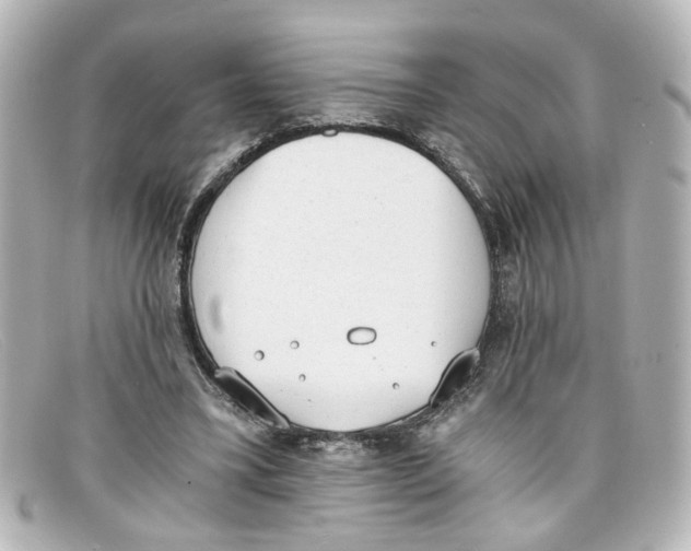 X0000098140395200805081025