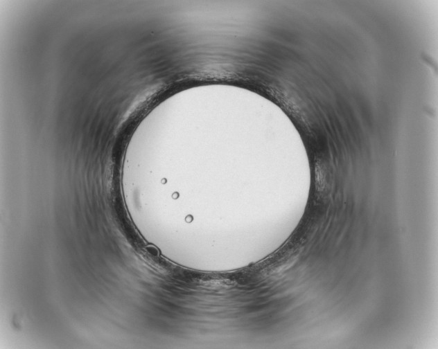 X0000098140396200805081025