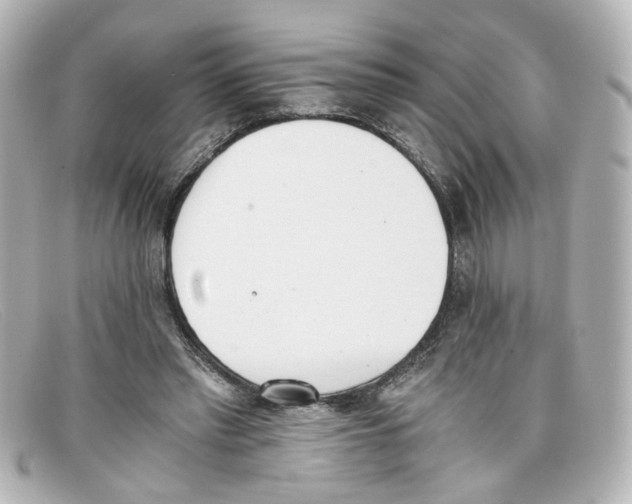 X0000098140397200805081025