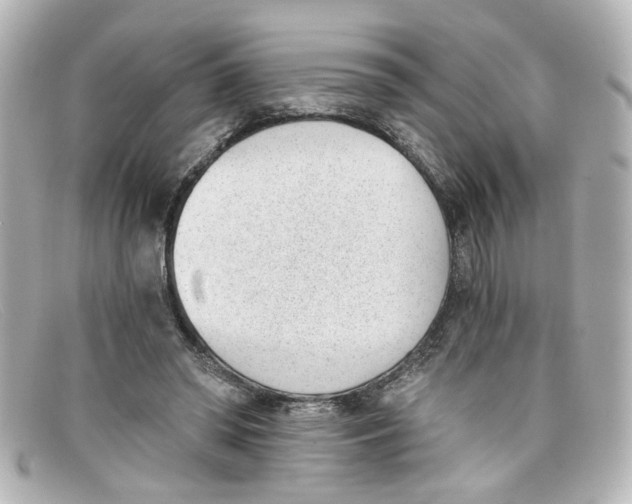 X0000098140398200805081024