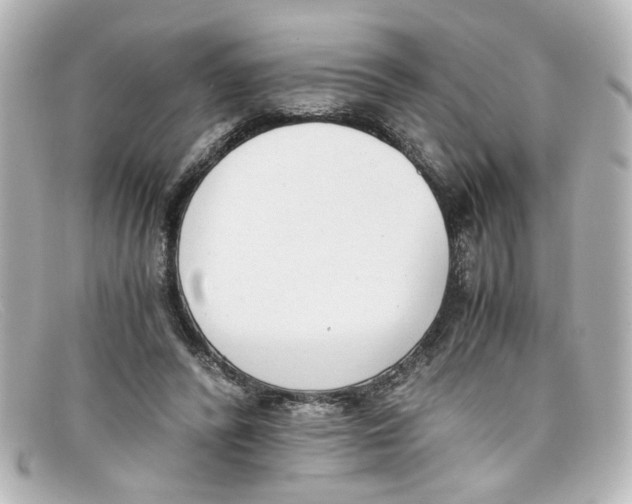 X0000098140400200805081024