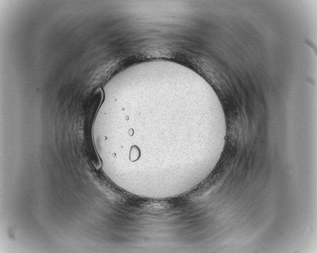 X0000098140402200805081024