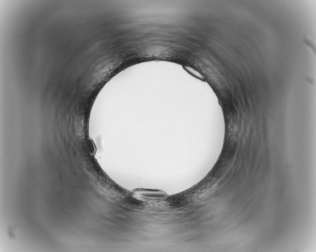 X0000098140403200805081024