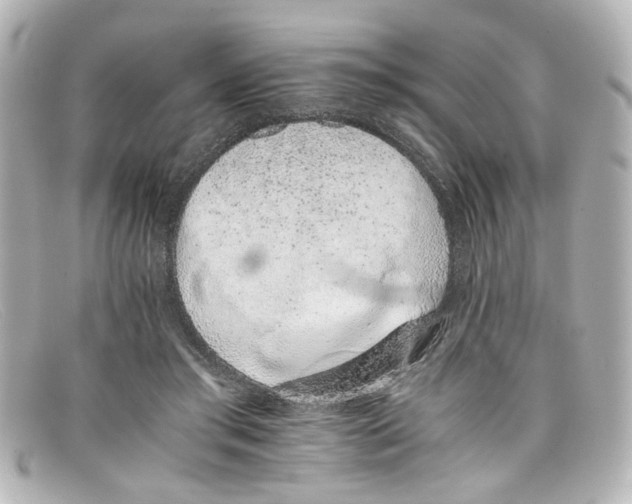 X0000098140405200805081024