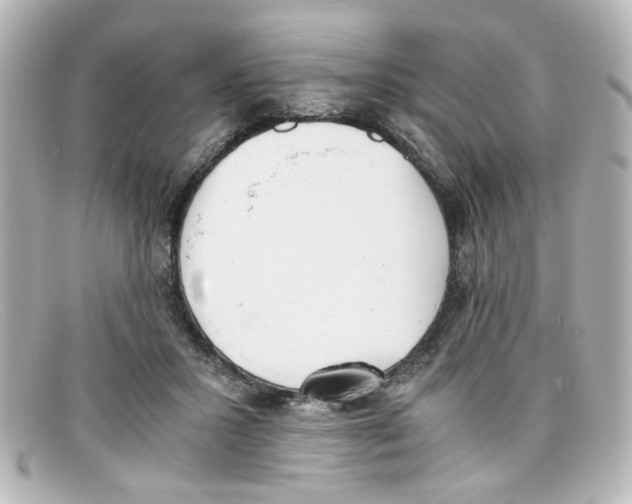 X0000098140407200805081024