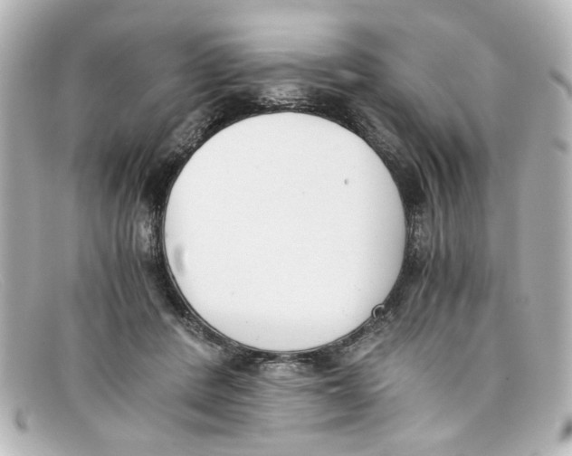 X0000098140408200805081024