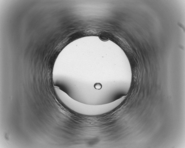 X0000098140409200805081024