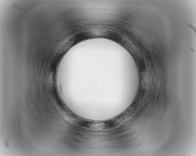 X0000098140410200805081024