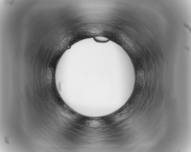 X0000098140412200805081024