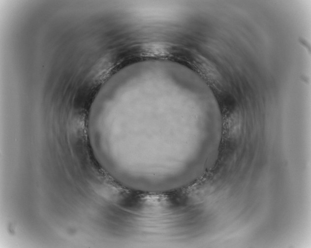 X0000098140415200805081024