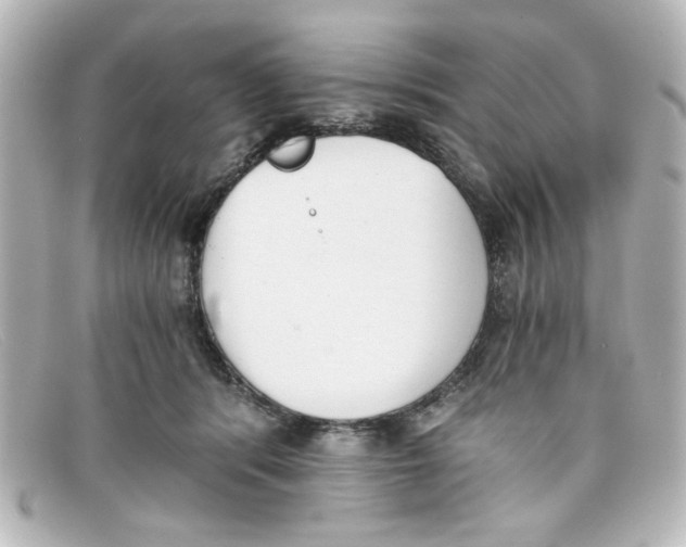 X0000098140416200805081024