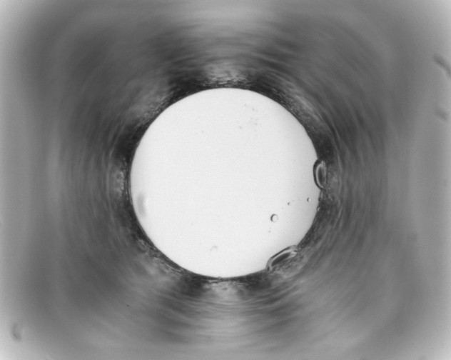 X0000098140417200805081024