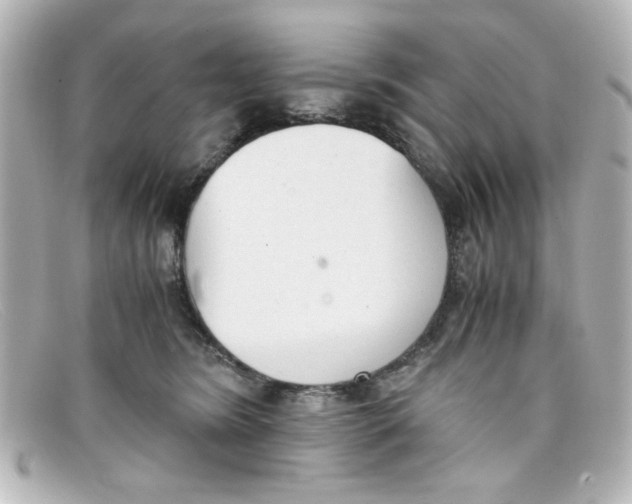 X0000098140420200805081024