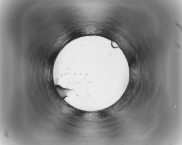 X0000098140422200805081024