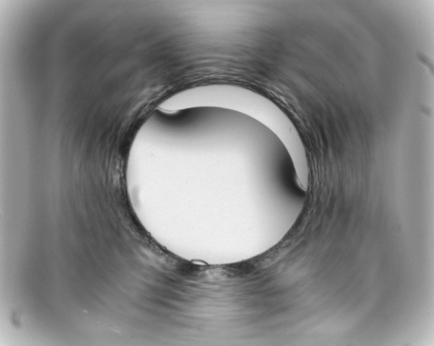 X0000098140423200805081024