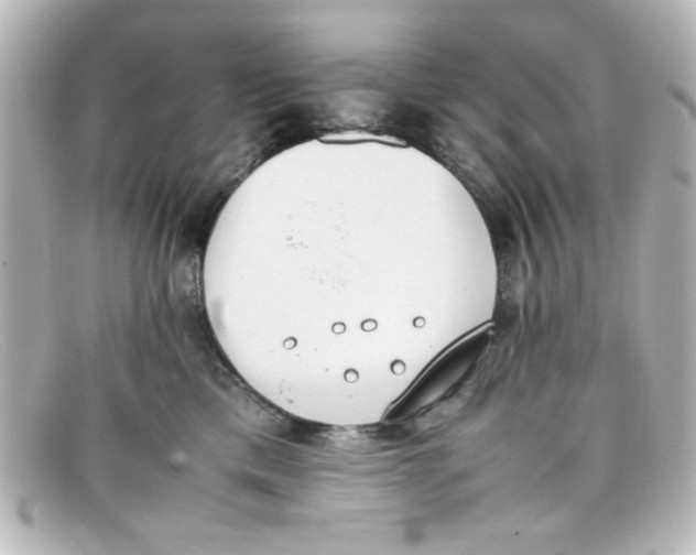 X0000098140425200805081024