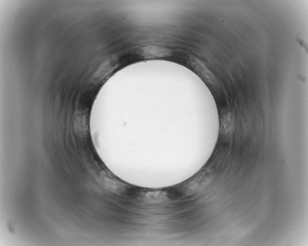 X0000098140426200805081024