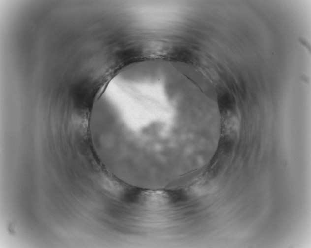 X0000098140427200805081024