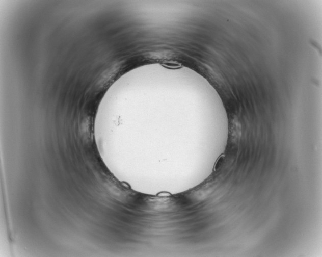 X0000098140428200805081024