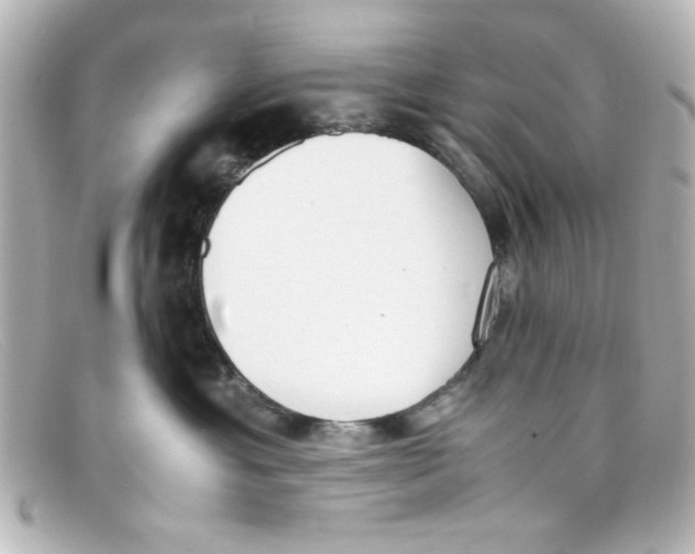 X0000098140429200805081024