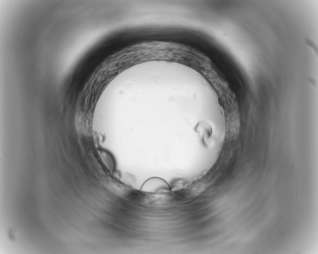 X0000098140431200805081024