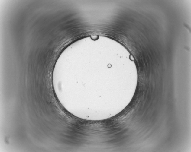 X0000098140433200805081023