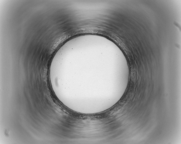 X0000098140434200805081023