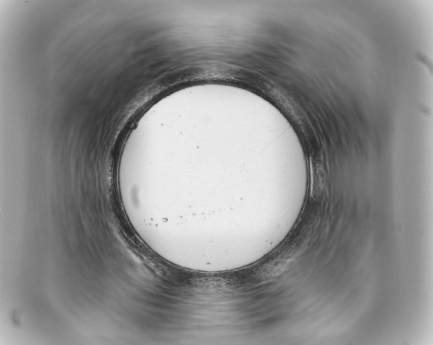 X0000098140435200805081023