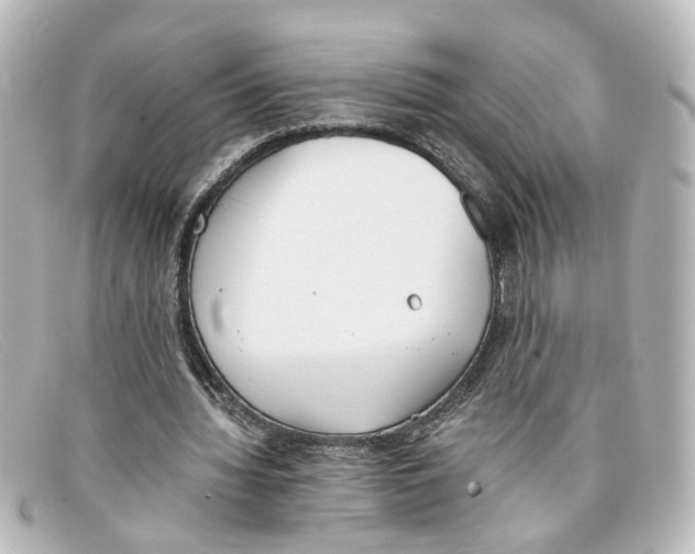 X0000098140436200805081023