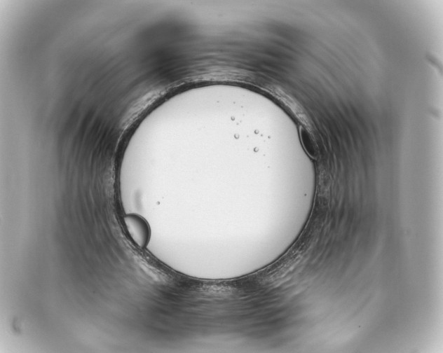 X0000098140437200805081023