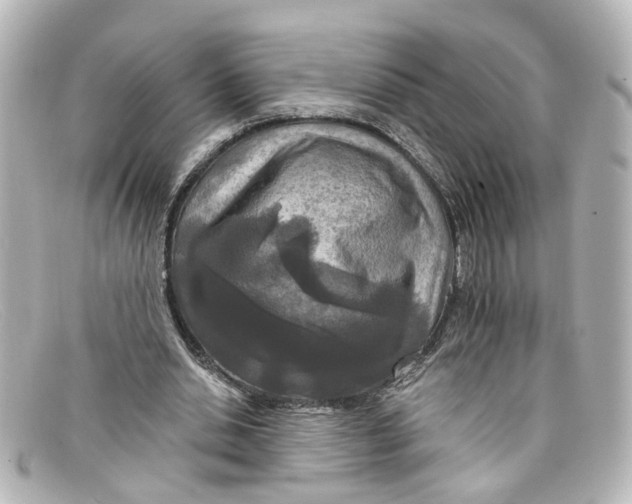 X0000098140438200805081023