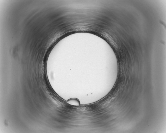 X0000098140439200805081023