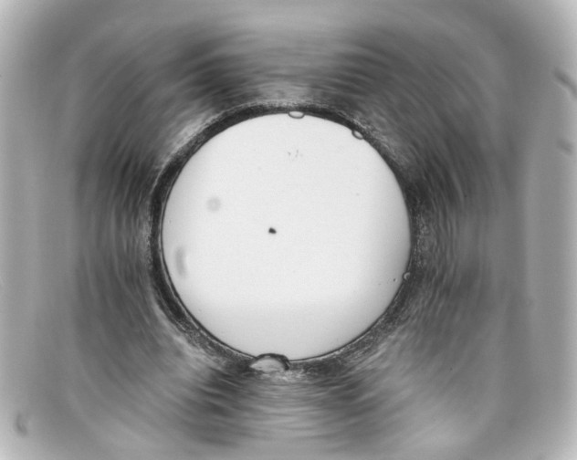 X0000098140440200805081023