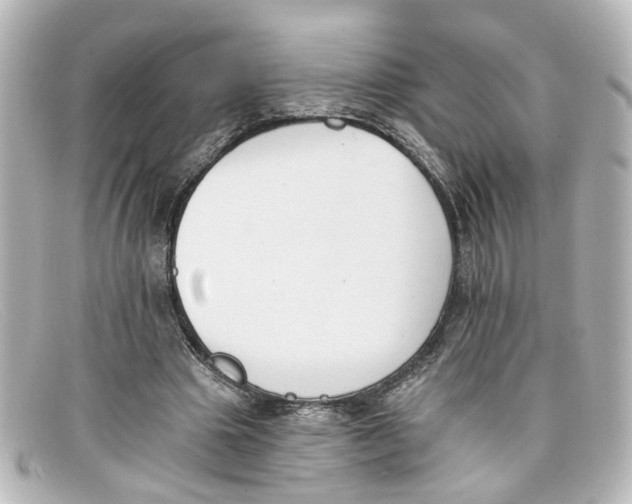 X0000098140441200805081023