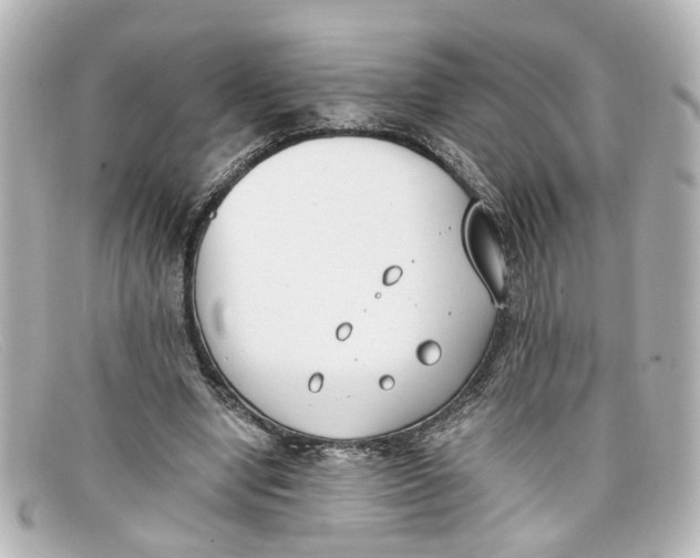 X0000098140442200805081023