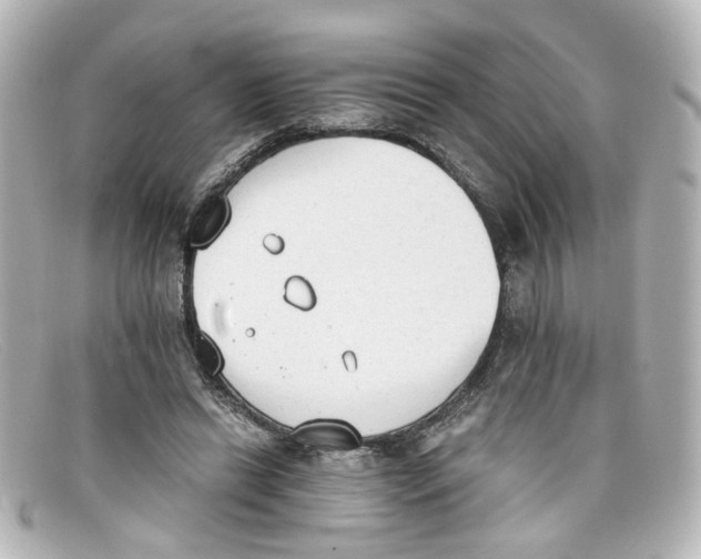 X0000098140446200805081024