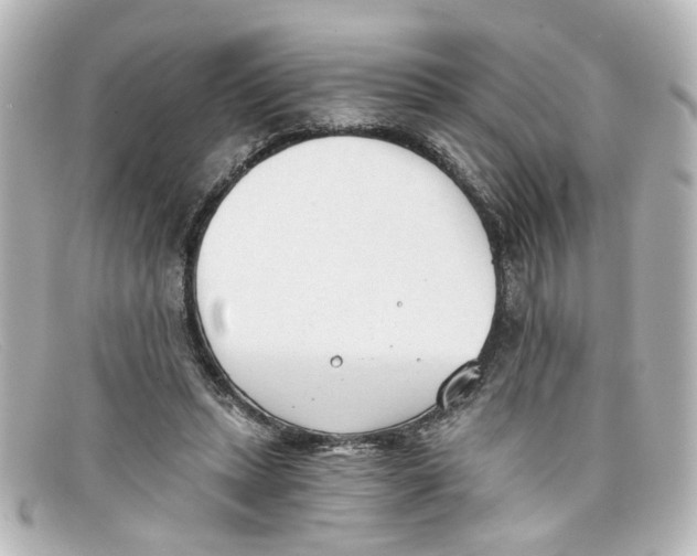 X0000098140447200805081024