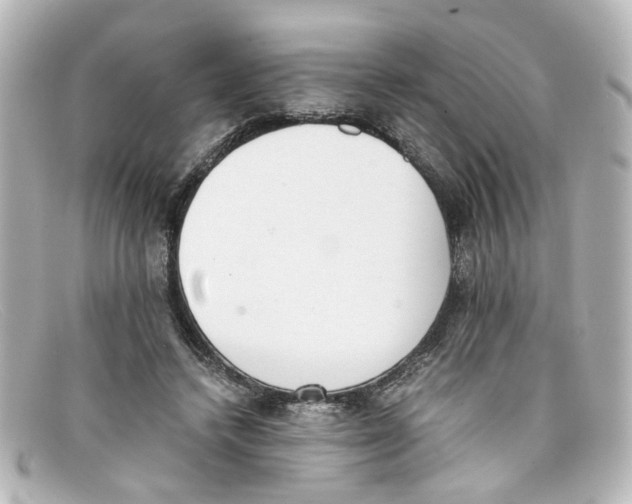 X0000098140448200805081024