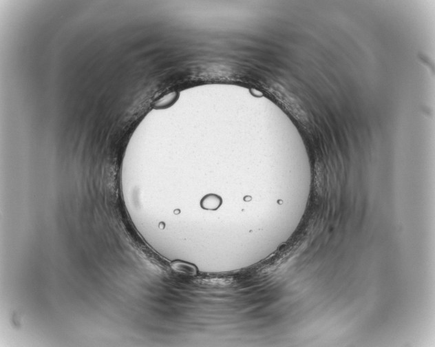 X0000098140449200805081024