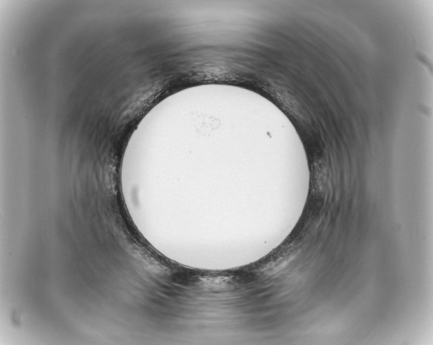 X0000098140450200805081024