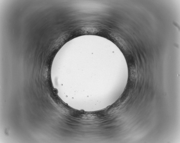 X0000098140451200805081024