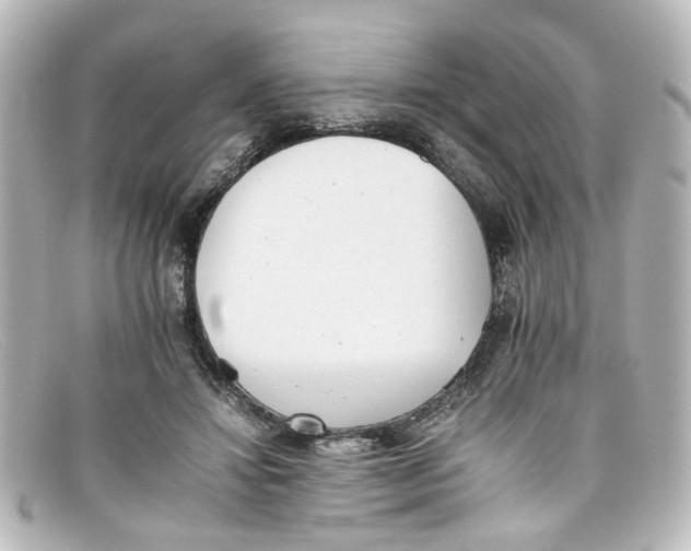 X0000098140452200805081024