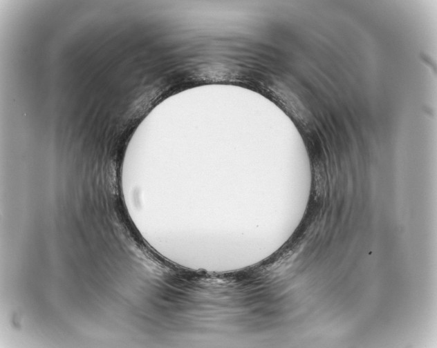 X0000098140453200805081024