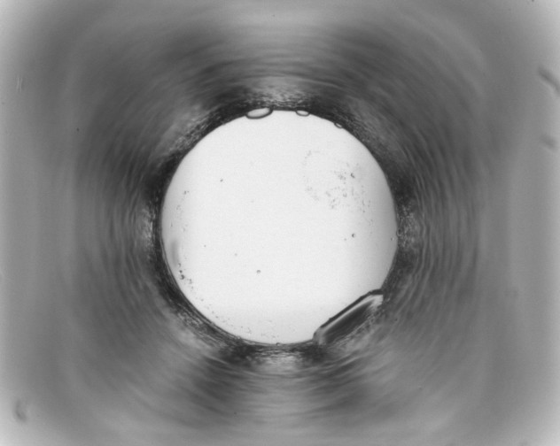 X0000098140456200805081024