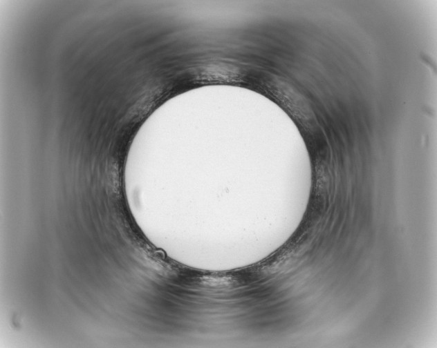 X0000098140457200805081024